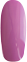 Фиолетовый, сиреневый