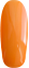 Оранжевый и оранжево-коралловый
