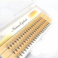 Ресницы пучковые накладные 10D Nesura Eyelash 10mm - вид 1 миниатюра