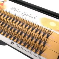 Ресницы пучковые накладные лучики 20D/0.07/C Nesura Eyelash 10mm - вид 1 миниатюра