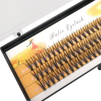 Ресницы пучковые накладные лучики 20D/0.07/C Nesura Eyelash 10mm - вид 2 миниатюра