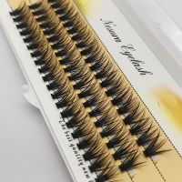 Ресницы пучковые накладные 40D Nesura Eyelash 13mm - вид 1 миниатюра