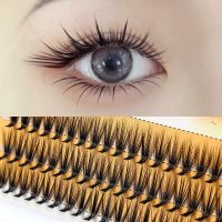 Ресницы пучковые накладные L 10mm Nesura Eyelash 10D/0.1 - вид 1 миниатюра